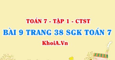 Bài 9 trang 38 SGK Toán 7 chân trời sáng tạo tập 1